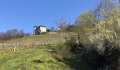 Trail Walking Saint-Alban-Leysse - Cascades-Doria-2021-03-31 - Photo 5