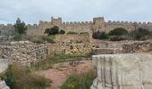 Excursión Senderismo Montpeyroux - Le bary Arboras le Castelas - Photo 2