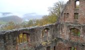 Tour Zu Fuß Lohr am Main - Ortswanderweg Lohr 3 - Photo 3