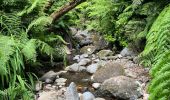 Tour Wandern São Jorge - Levada del Rei - Photo 8