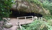 Excursión Senderismo Perros-Guirec - vallée de Traouïero - Photo 1