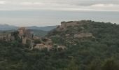 Tour Wandern Ollioules - Château Vallon -25-05-22 - Photo 8