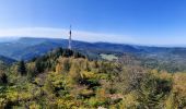 Tour Wandern Michelbrunn - 2020-09-20 Marche Donon Petit Donon Casemates - Photo 4