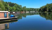 Trail Walking Saumur - MAINE ET LOIRE / SAUMUR: DECRASSAGE - Photo 3