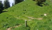 Tocht Stappen Fillière - ronceveau au col du freu 24 juin 19 - Photo 12