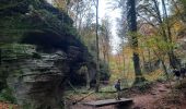 Tour Wandern Echternach - mullerthal e1 - Photo 20