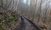 Trail Walking Notre-Dame-de-Bondeville - Allée des Orchies- ND Bondeville- Le Houlme - Photo 13