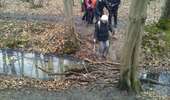 Randonnée Marche Viroflay - La grande traversée des forêts des Hauts de Seine - Photo 5
