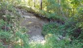 Trail Walking Menet - 20210614 Menet - Photo 10