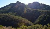Trail Walking Saint-Raphaël - Pk Col des Lentisques - Pic d'Aurelle - Ravins Mal Infernet et de l'Ubac de l'Escale - Photo 4