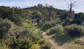 Tocht Stappen Cavalaire-sur-Mer - CAVALAIRE - Photo 1