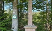 Trail Walking Champdray - Champdray, point de vue de Laleu - Photo 1