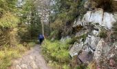 Randonnée Marche Malmedy - Malmedy - Photo 12