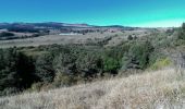 Excursión Senderismo Aydat - 2019-09-13 -Puy de Combegrasse - Narse d'Espinasse - Photo 1