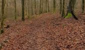 Trail Walking Couvin - Brûly de Pesche - Photo 1