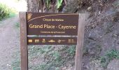 Randonnée Marche La Possession - Cayenne  la Roche Plate  - Photo 10