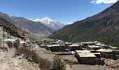 Tour Wandern Khansar - Tilicho Base Camp - Manang réel - Photo 2