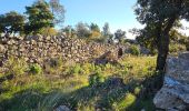 Trail Walking Cuers - Sous les barres de Cuers en partant de La Foux - Photo 4