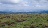 Tocht Stappen Ceyssat - puy de dôme et périphérie  - Photo 4