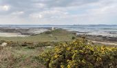 Tocht Stappen Carantec - Tour de l'île Callot - Photo 6