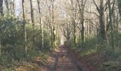 Excursión Ruta Arfons - rarfons ouest - Photo 13