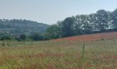 Tocht Stappen Montefiascone - CR_Francigena_DM_49_Montefiascone_Viterbe_20230602 - Photo 16