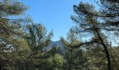 Tocht Stappen Barjols - Barjols - petit Bessillon - Photo 12