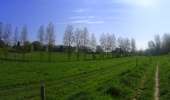 Trail Mountain bike Braine-le-Comte - ronquiéres 50 - Photo 7