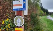 Tocht Stappen Bertrix - promenade de feneants  - Photo 3