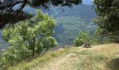 Trail Walking Auris - Auris en Oizan- balade vers Placet - Photo 2