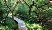 Trail Walking Waimes - La Cascade du Bayehon   - Photo 9