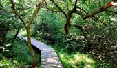 Tour Wandern Weismes - La Cascade du Bayehon   - Photo 9