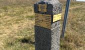 Trail Walking Saint-Pierre-la-Bourlhonne - Col du Beal  - Photo 3