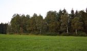 Trail On foot Kopfing im Innkreis - Nr.3 Blick ins Land - Photo 5