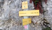 Percorso Marcia Sarcenas - Col de Porte_Chamechaude - Photo 2