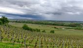 Tocht Stappen Molsheim - Randonnée l'après-midi - Photo 5