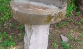 Trail Walking Volvic - Tour des Puys Pradet, Baneyre, Espinasse - Photo 1