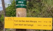 Trail Walking Vernet-les-Bains - pic Alzina - Photo 3