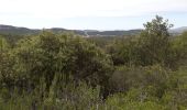 Tour Wandern Roquefort-la-Bédoule - la petite sainte baume - Photo 1