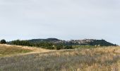 Trail On foot Montalcino - IT-PVO3 - Photo 7