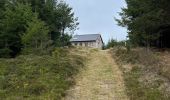 Percorso  Lapoutroie - Le bonhomme col du brezouard - Photo 3