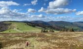 Tour Wandern Geishausen - Autour du Sorckenkopf - Photo 2