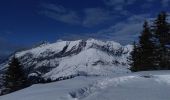 Tocht Ski randonnée Praz-sur-Arly - Tête du Torraz - Photo 1