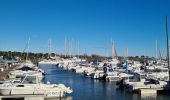 Excursión Senderismo Vendres - Vendres -Port de Chichoulet (34) - Photo 20