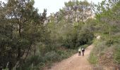 Trail Walking La Roquebrussanne - La Loube 28-02-2024 - Photo 5