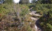 Trail Walking Luttenbach-près-Munster - Autour petit ballon - Photo 1