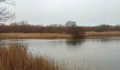 Randonnée Marche Veere - Se promener dans Westkapelle et dans les dunes  - Photo 9