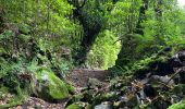 Trail Walking Santana - Levada  - Photo 10