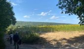 Trail Walking Lardy - Lardy - Photo 1