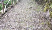 Tour Wandern Funchal (Santa Maria Maior) - Monte par le Levada do Bom Sucesso (Rother n°2 inversé) - Photo 15